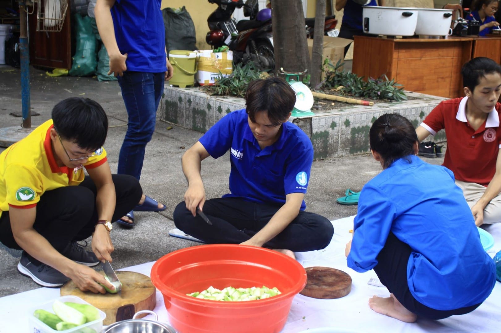 Đoàn trường Đại học Khoa học tự nhiên, ĐHQG-HCM